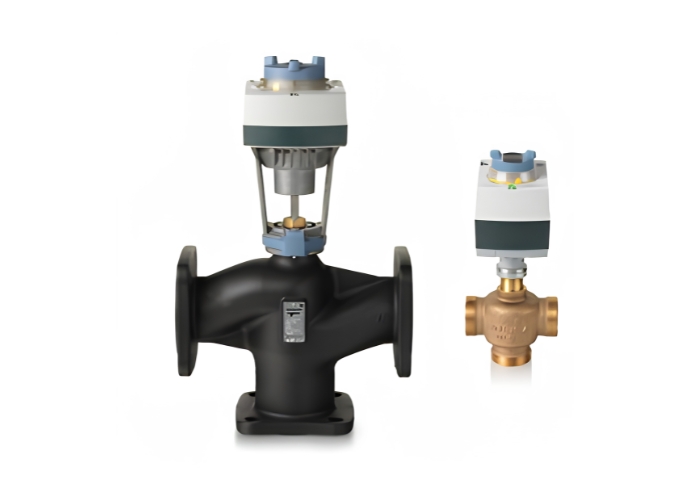 Globe Valve